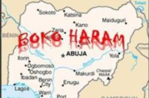 Article : Boko Haram : d’un terrorisme mystique à un terrorisme atypique